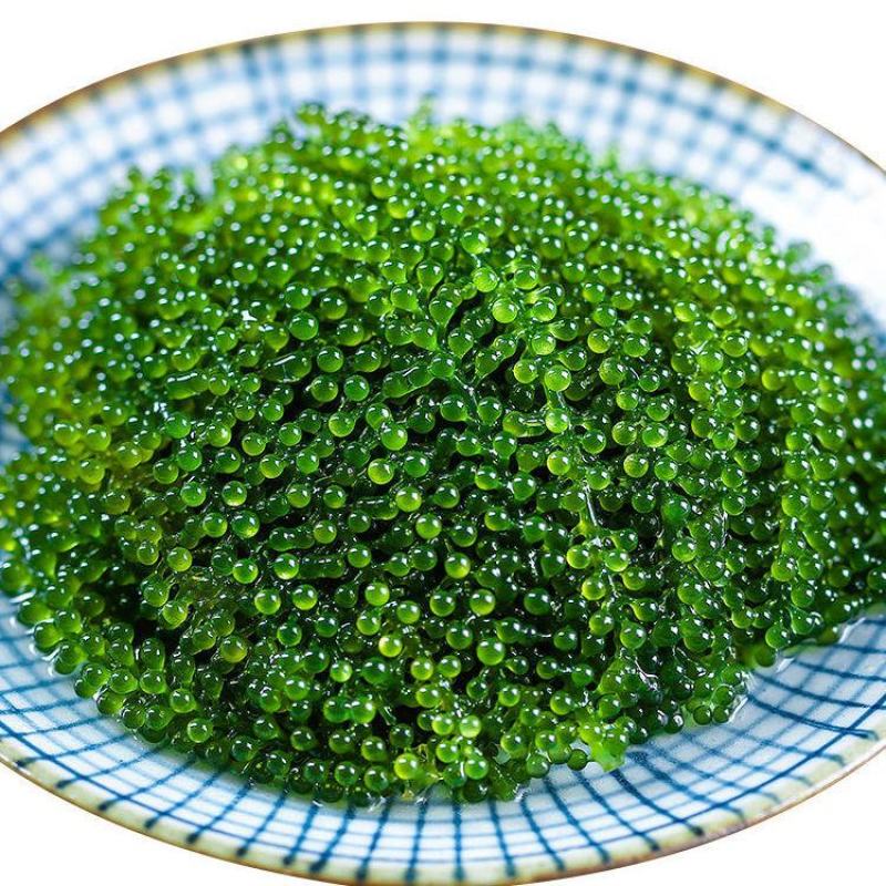 【产地直】网红海葡萄送蘸料即食绿色鱼子酱海菜多规格包邮