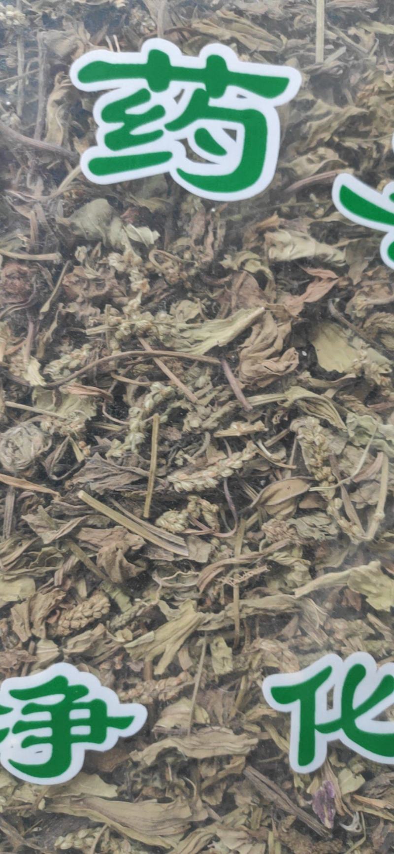 车前草干货中药材干净无杂质量大从优