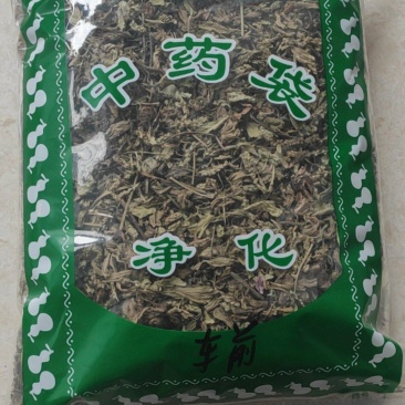 车前草干货中药材干净无杂质量大从优