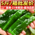 盐渍裙带菜梗海白菜梗凉拌菜整箱凉菜火锅食材批发海藻非干货