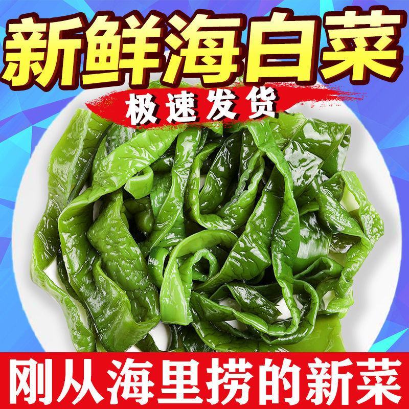 盐渍裙带菜梗海白菜梗凉拌菜整箱凉菜火锅食材批发海藻非干货