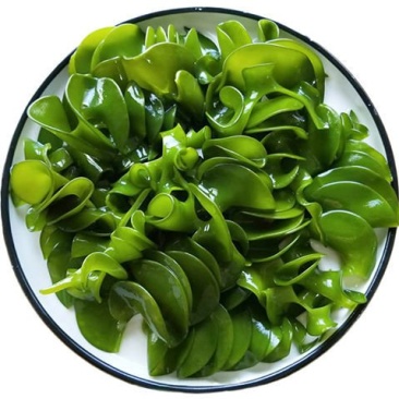 【产地直】新鲜盐渍海木耳海白菜孢子叶耳朵火锅食材包邮