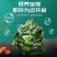 盐渍裙带菜茎海白菜非干货新鲜嫩芽火锅食材产地包邮