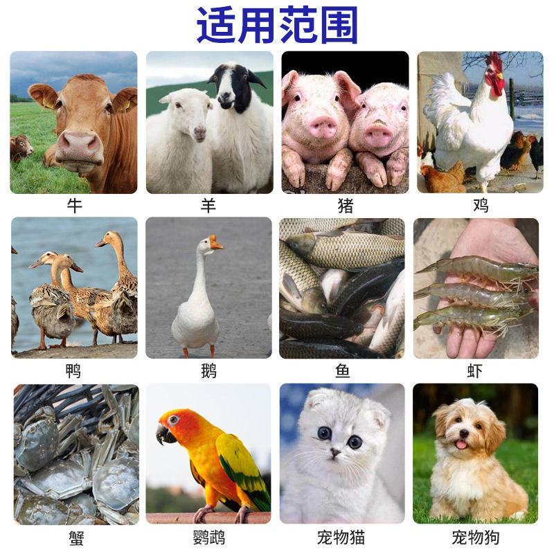 黄金多维兽用多种维生素电解多维猪用牛羊微量元素鸡鸭饲料