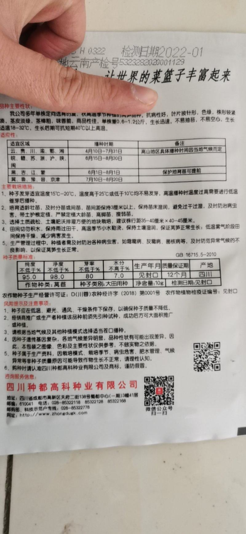 超级高抗热绿叶尖叶先锋莴笋种子耐高湿高抗病不易抽