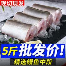 【活动中】冷冻海鳗鱼中段大段新鲜鳗鱼块深海鱼鲜活海鱼包邮