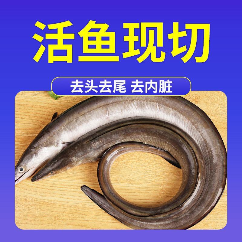 【活动中】冷冻海鳗鱼中段大段新鲜鳗鱼块深海鱼鲜活海鱼包邮