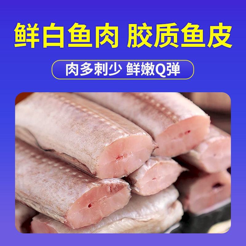 【活动中】冷冻海鳗鱼中段大段新鲜鳗鱼块深海鱼鲜活海鱼包邮