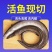 【活动中】冷冻海鳗鱼中段大段新鲜鳗鱼块深海鱼鲜活海鱼包邮