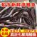 【国产检疫齐全】海鳗鱼新鲜速冻整条发货大海鳗七星鳗包邮