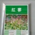 红蓼种子东北红草种子中草药植物东方蓼籽大红蓼新奇观赏花卉