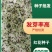 草红花种子籽散装优质中药材红花籽苗春季秋季盆栽庭院春夏种