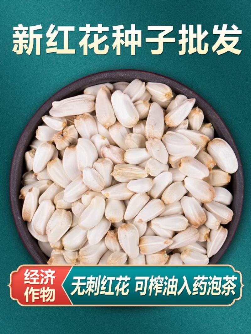草红花种子籽散装优质中药材红花籽苗春季秋季盆栽庭院春夏种