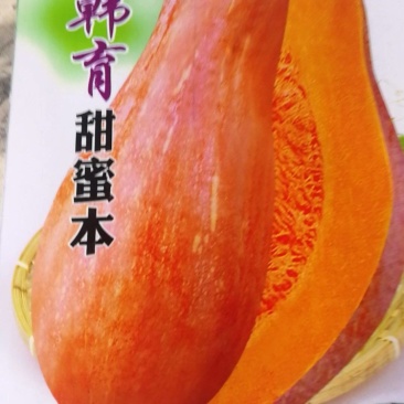 蜜来南瓜，皮黄橙色肉厚淀粉细腻味甜水份少。