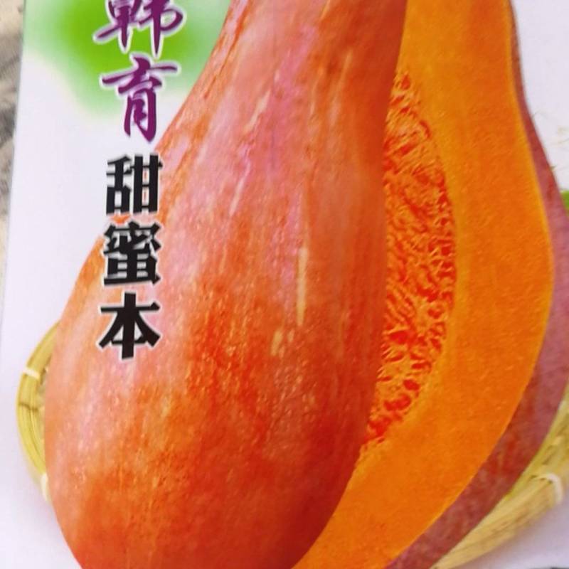 蜜来南瓜，皮黄橙色肉厚淀粉细腻味甜水份少。