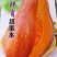蜜来南瓜，皮黄橙色肉厚淀粉细腻味甜水份少。