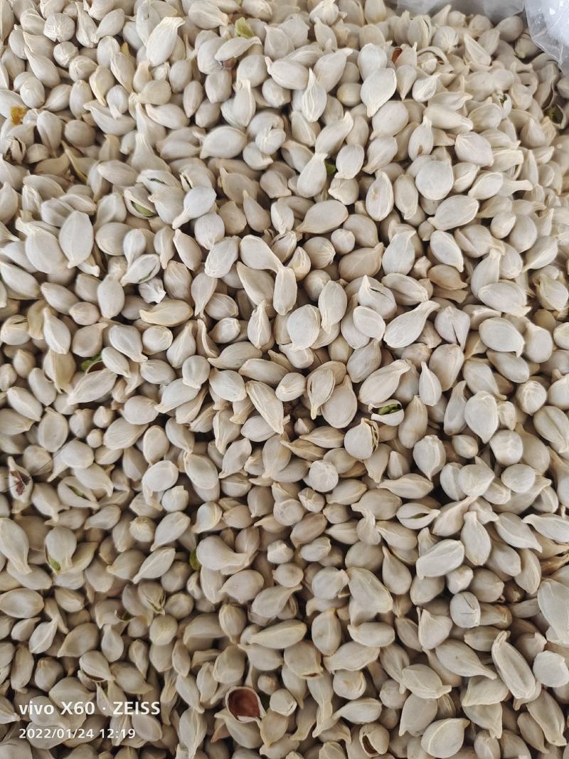 橘核～足干货～质量保证～货源充足～量大从优