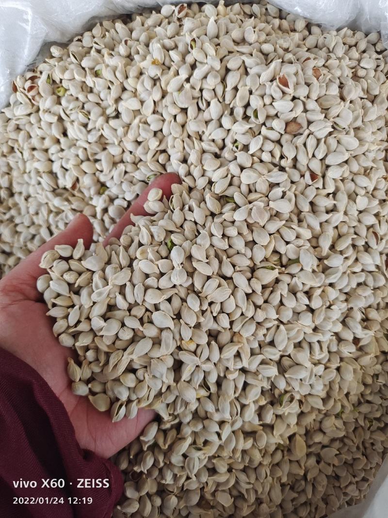 橘核～足干货～质量保证～货源充足～量大从优