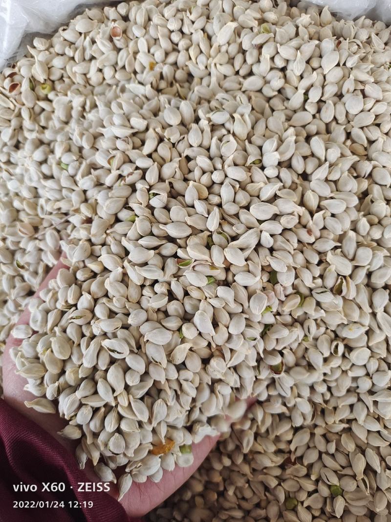 橘核～足干货～质量保证～货源充足～量大从优