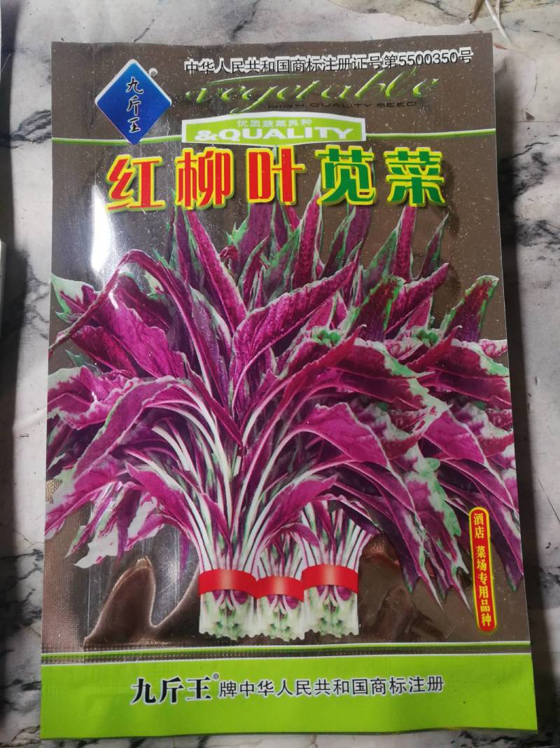 红柳叶苋菜，叶鲜红色耐肥抗病生长较快产量高。