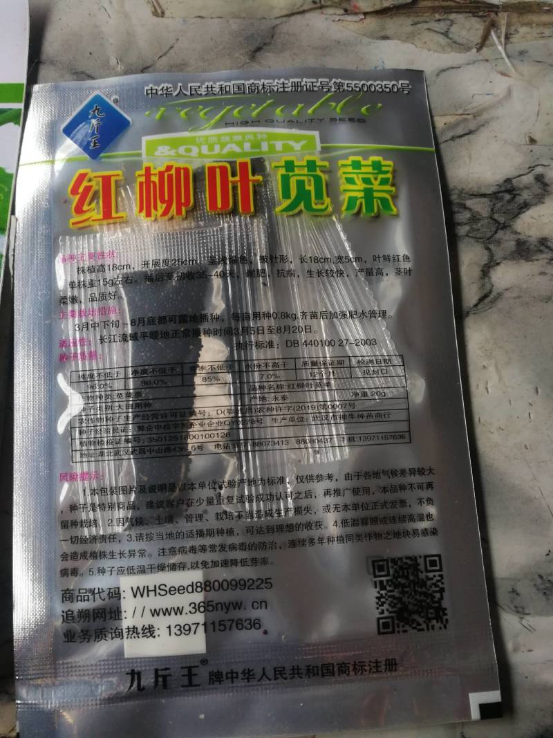 红柳叶苋菜，叶鲜红色耐肥抗病生长较快产量高。