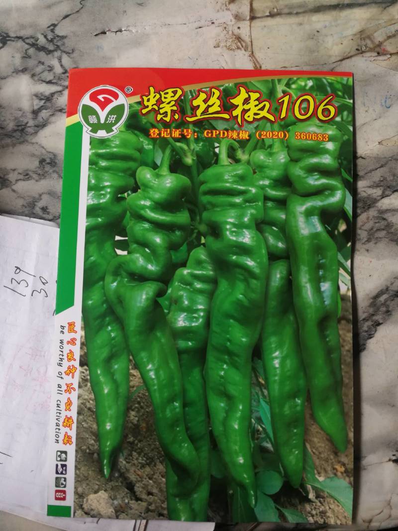 螺丝椒106，早熟挂果多膨果快连续坐果性强辣鲜味浓口感好