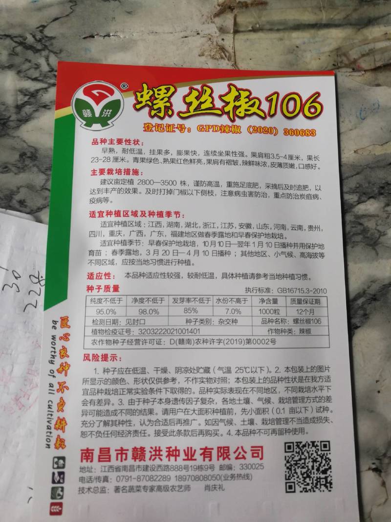 螺丝椒106，早熟挂果多膨果快连续坐果性强辣鲜味浓口感好