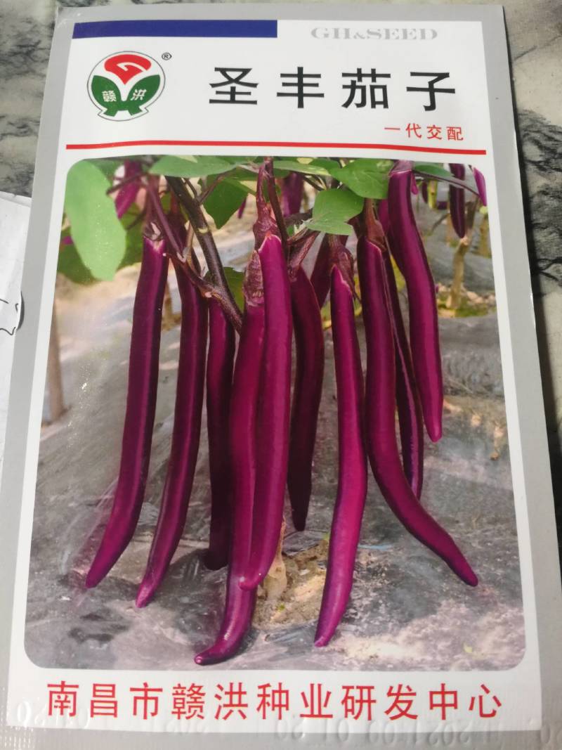 圣丰茄子一代交配早熟耐寒有光泽肉质糥口感好品质佳。