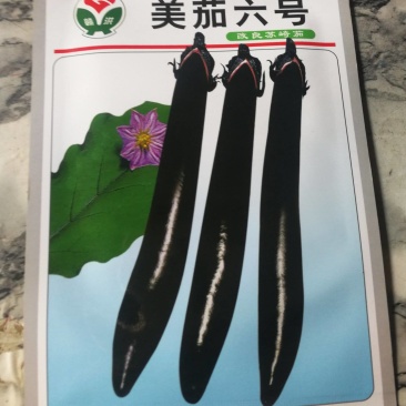 美茄六号长茄子，果皮紫黑色光泽强皮簿籽少果肉青白色肉柔嫩