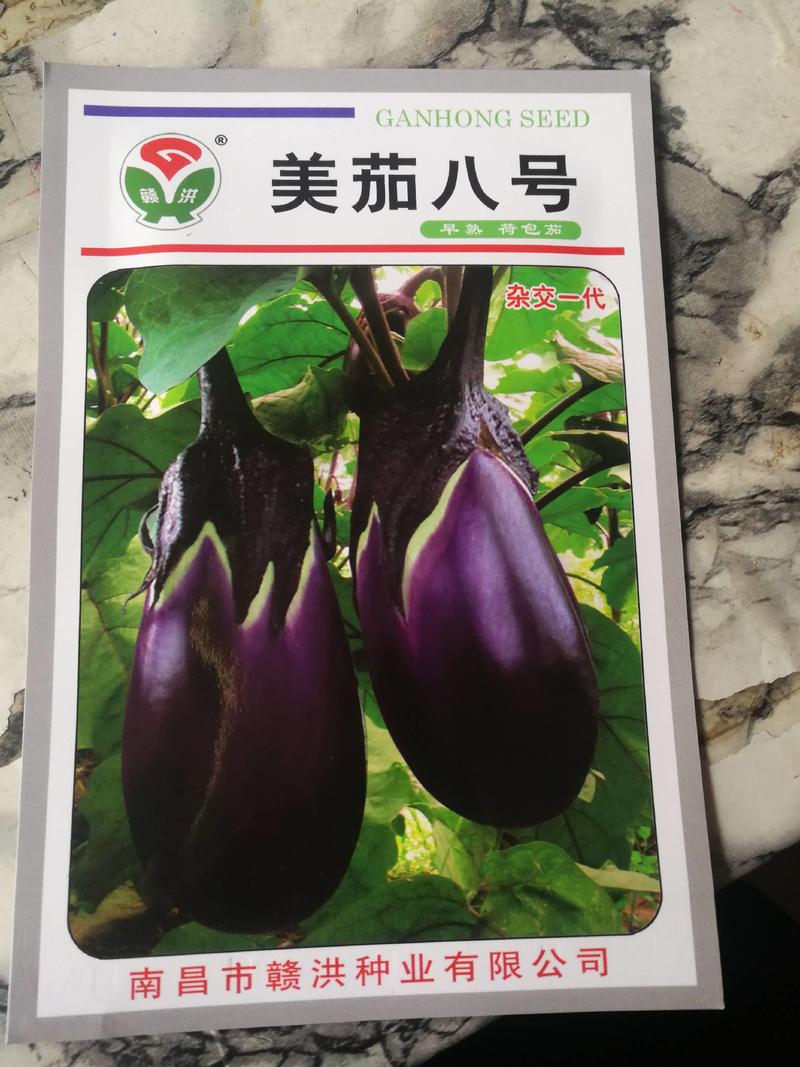美茄八号早熟一代杂交种果实为椭圆形紫红包荷包茄果挂果多。