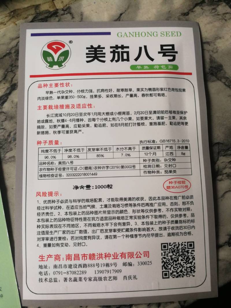 美茄八号早熟一代杂交种果实为椭圆形紫红包荷包茄果挂果多。