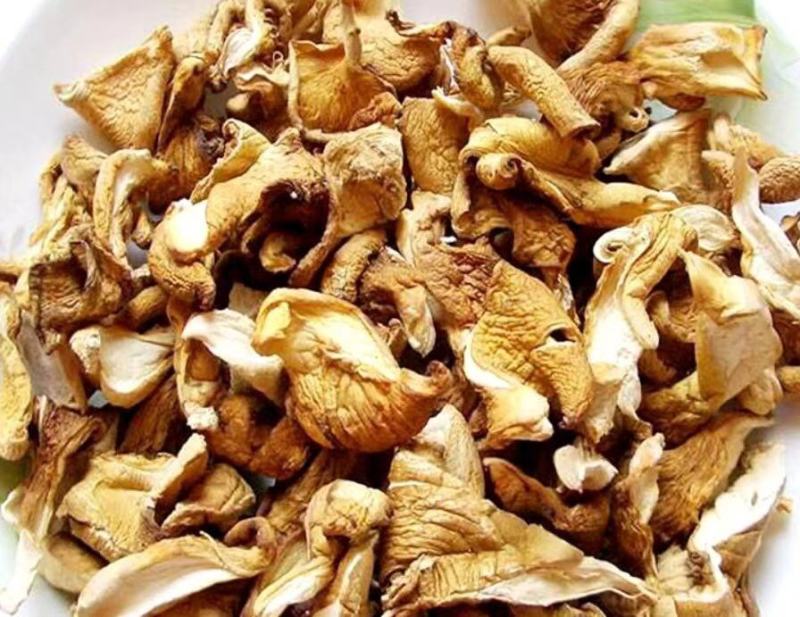 东北榛蘑蘑菇干菌类蘑菇干元蘑干嘎嘎香
