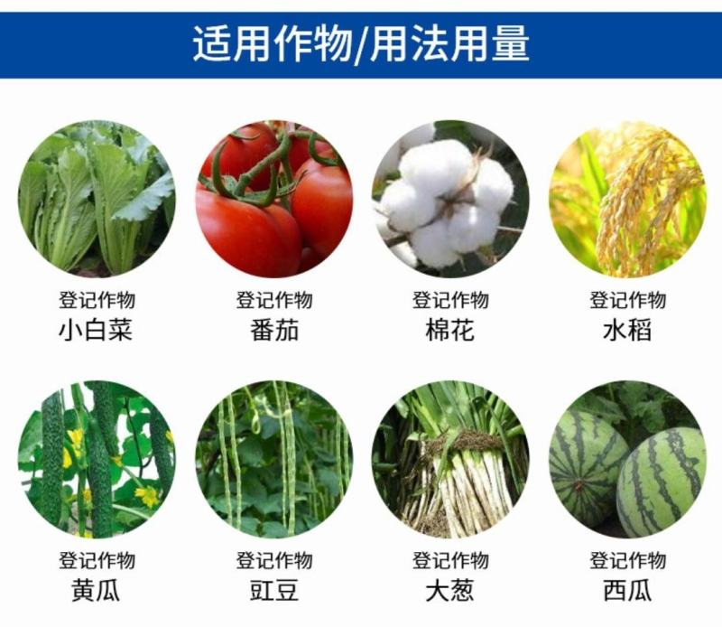 倍内威10%溴氰虫酰胺杀虫剂蚜虫蓟马飞虱斑潜蝇