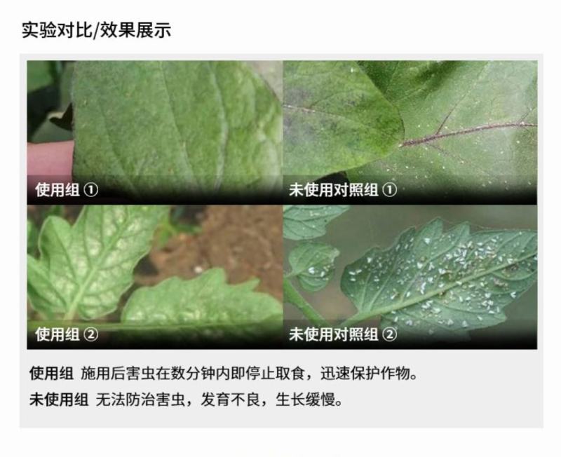 倍内威10%溴氰虫酰胺杀虫剂蚜虫蓟马飞虱斑潜蝇