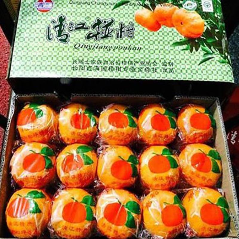 【真实报价】碰柑椪柑叶椪无籽椪柑芦柑甜蜜多汁保质保量