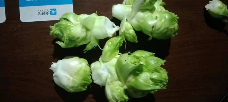 儿菜，基地货，高品质，有量有价，需要的老板联系