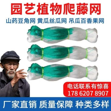 爬藤网种植加粗耐磨线黄瓜丝瓜苦瓜爬藤网粗6股纯聚乙烯原料