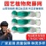 爬藤网种植加粗耐磨线黄瓜丝瓜苦瓜爬藤网粗6股纯聚乙烯原料