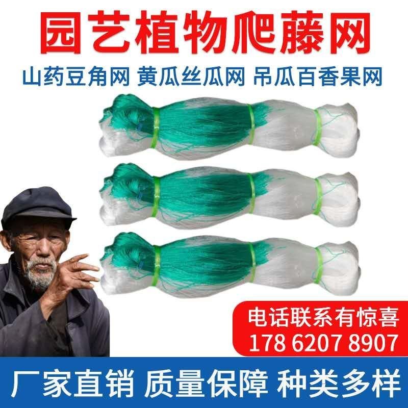 爬藤网种植加粗耐磨线黄瓜丝瓜苦瓜爬藤网粗6股纯聚乙烯原料
