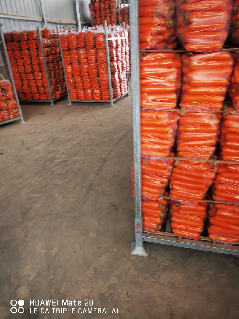 肖县胡萝卜，条型正口感甜。支持各种包装。服务好，欢迎…