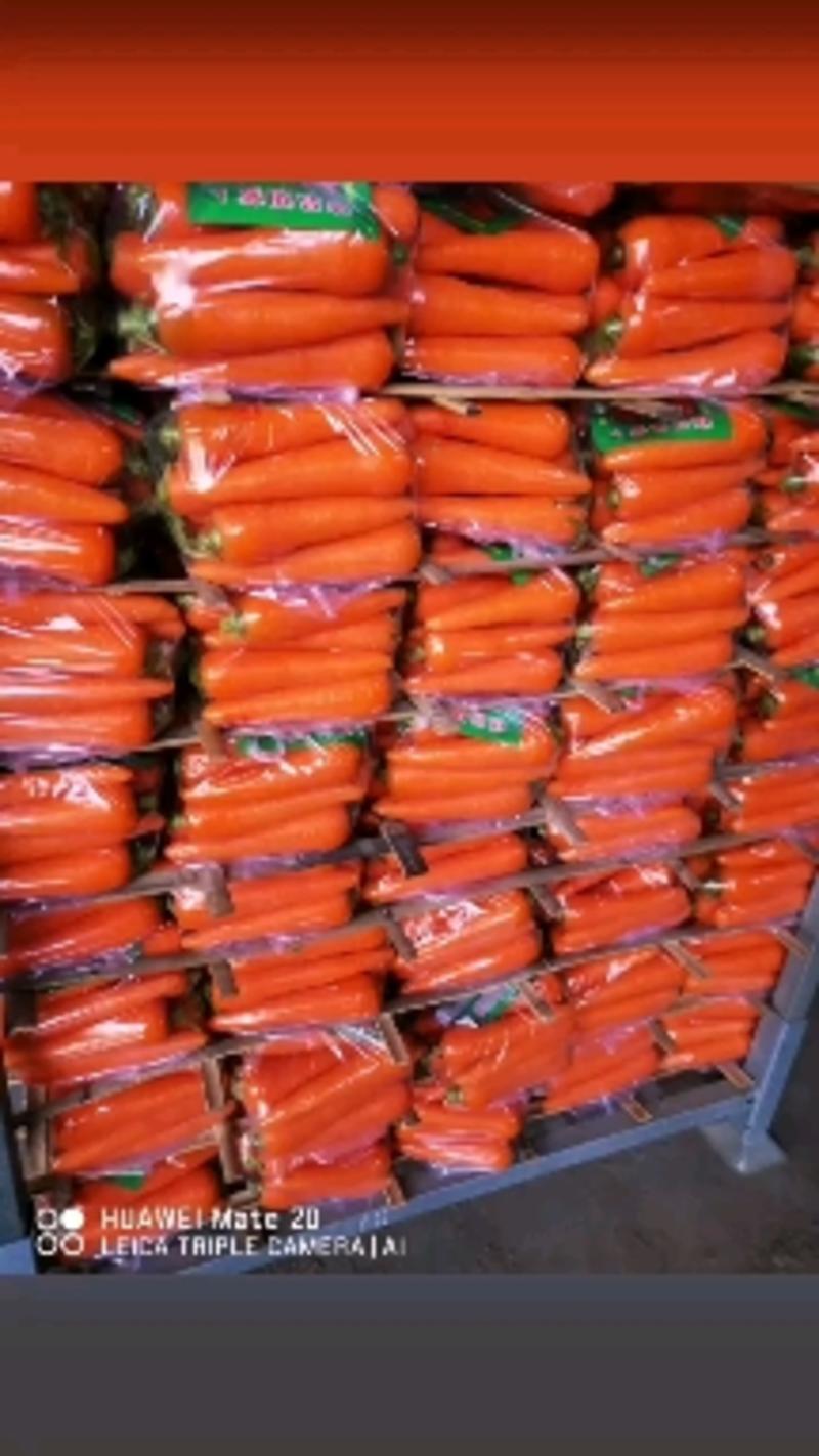 肖县胡萝卜，条型正口感甜。支持各种包装。服务好，欢迎…