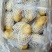 山东黄心土豆，V7.荷兰十五土豆大量出库，货源充足