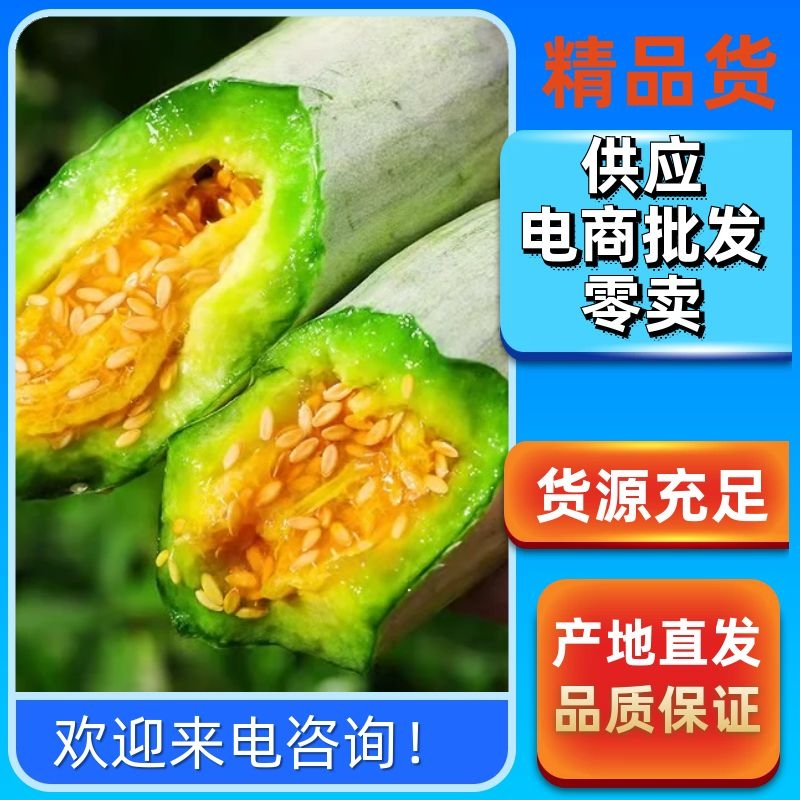 精品羊角蜜甜瓜山东潍坊羊角蜜种植基地供应电商、批发