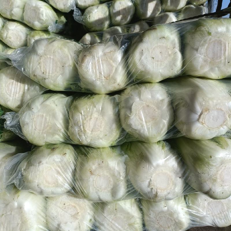 北京三号优质白菜，精品白菜量大从优服务至上
