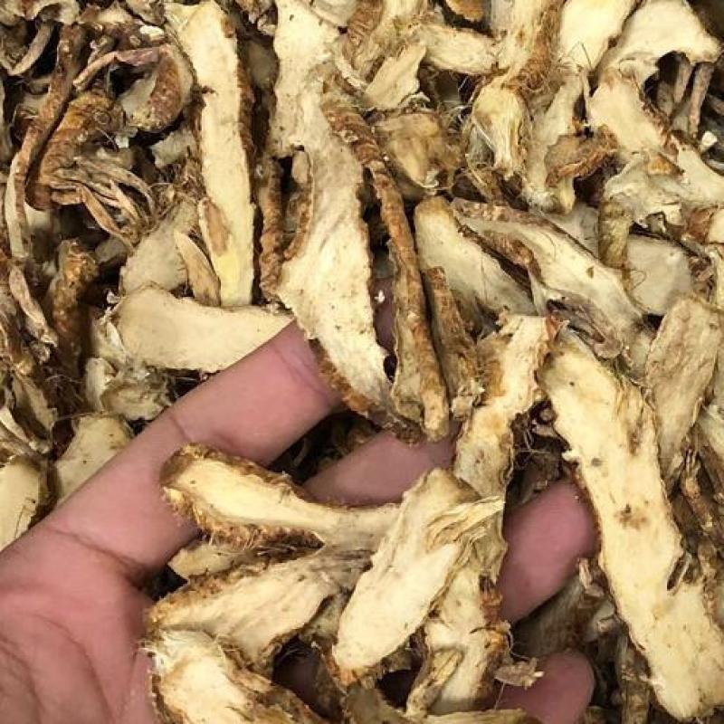 知母，毛知母，知母片道地药材质量保证欢迎咨询选购！