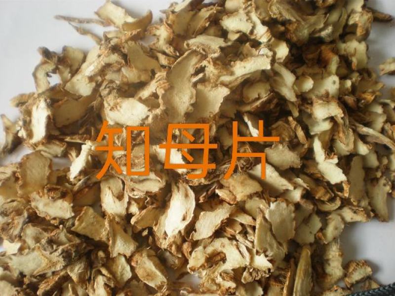 知母，毛知母，知母片道地药材质量保证欢迎咨询选购！