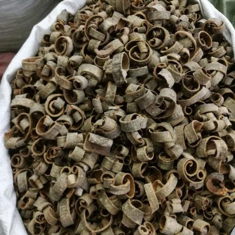 厚朴，川厚朴，制厚朴道地药材质量保证欢迎咨询选购！