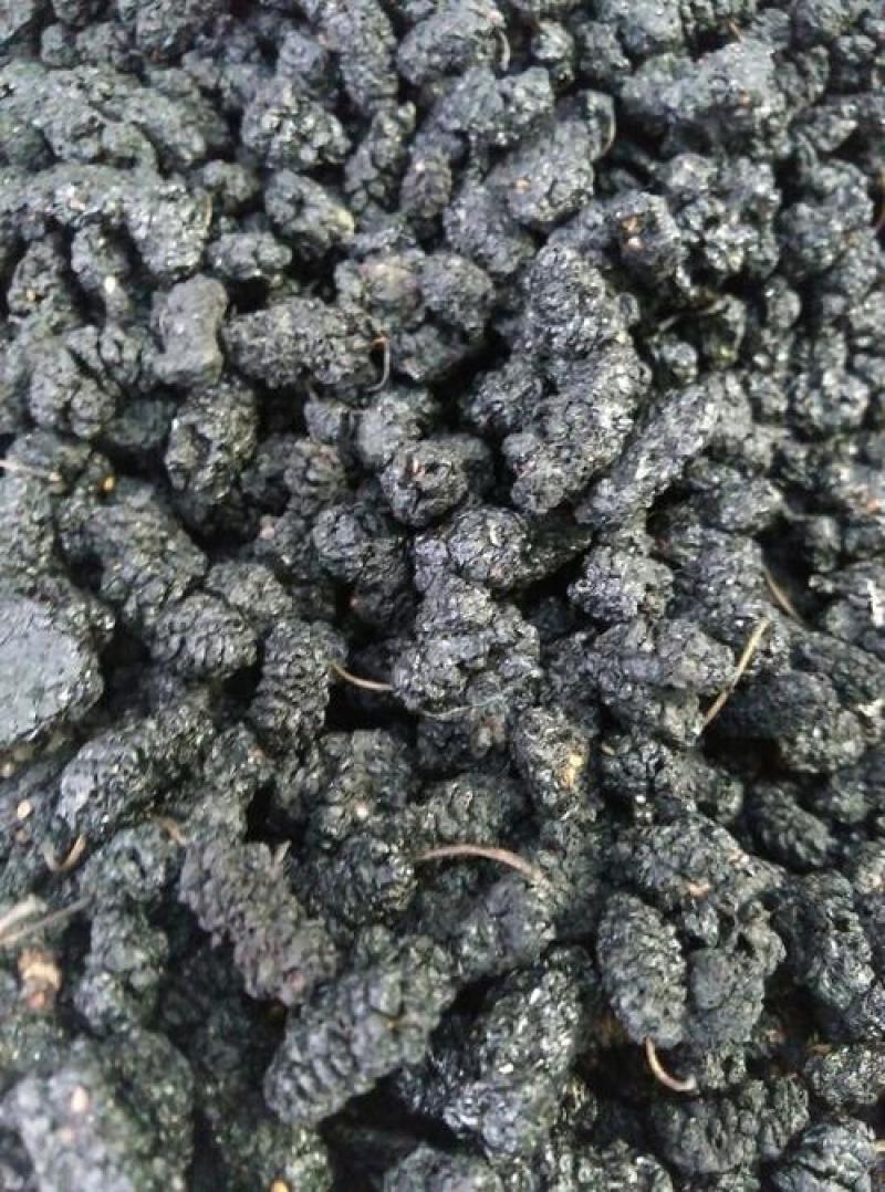 桑椹，精品桑椹干水洗货可干吃，可泡水喝营养丰富！欢迎选购