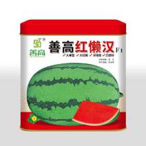 红懒汉西瓜，大果型大红瓤深绿口感好。
