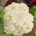 散花，精品散花，净菜！！！！！！！！！！！！